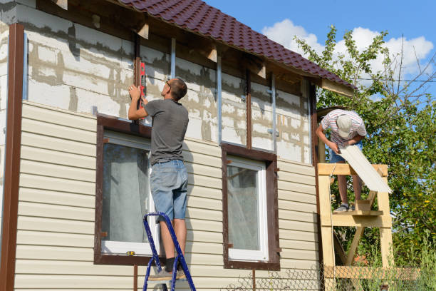Best Storm Damage Siding Repair  in Edinburg, VA