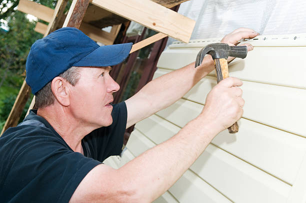 Affordable siding repair and maintenance services in Edinburg, VA