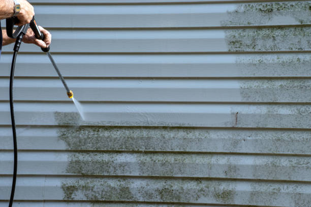 Affordable siding repair and maintenance services in Edinburg, VA