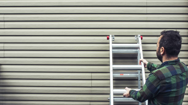 Best Siding Painting and Refinishing  in Edinburg, VA