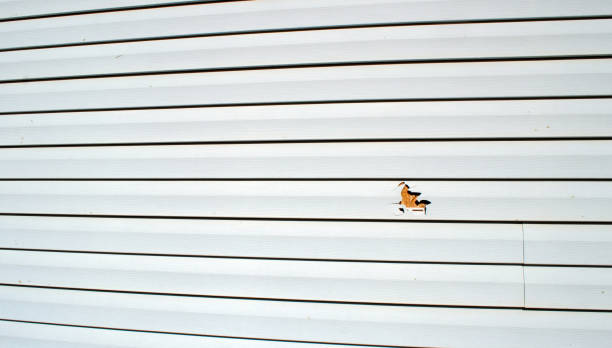 Trusted Edinburg, VA Siding Installation & Repair Experts