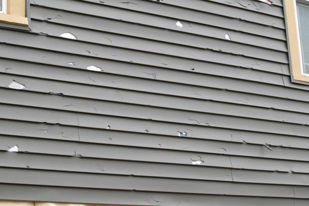 Best Wood Siding Installation  in Edinburg, VA