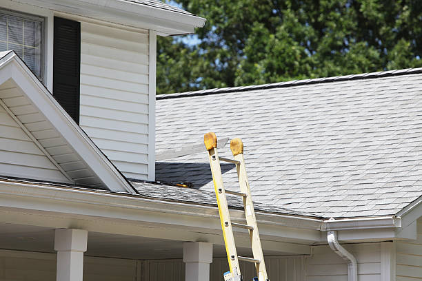 Best Custom Siding Design  in Edinburg, VA