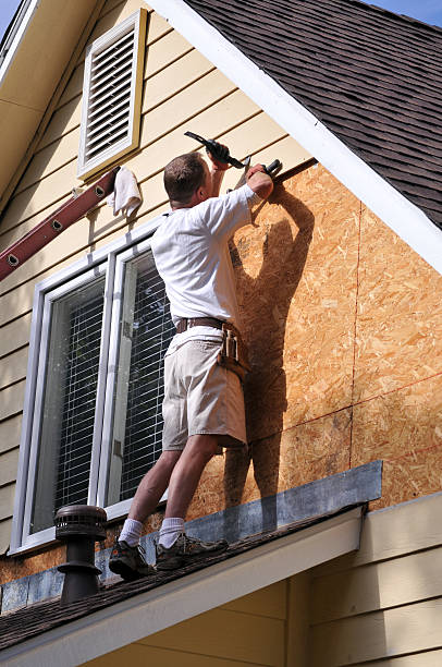 Best Stucco Siding  in Edinburg, VA